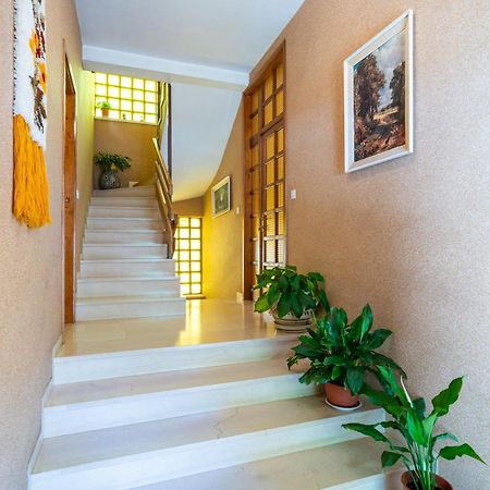 Apartments Villa Ivka Dubrovnik Exterior foto