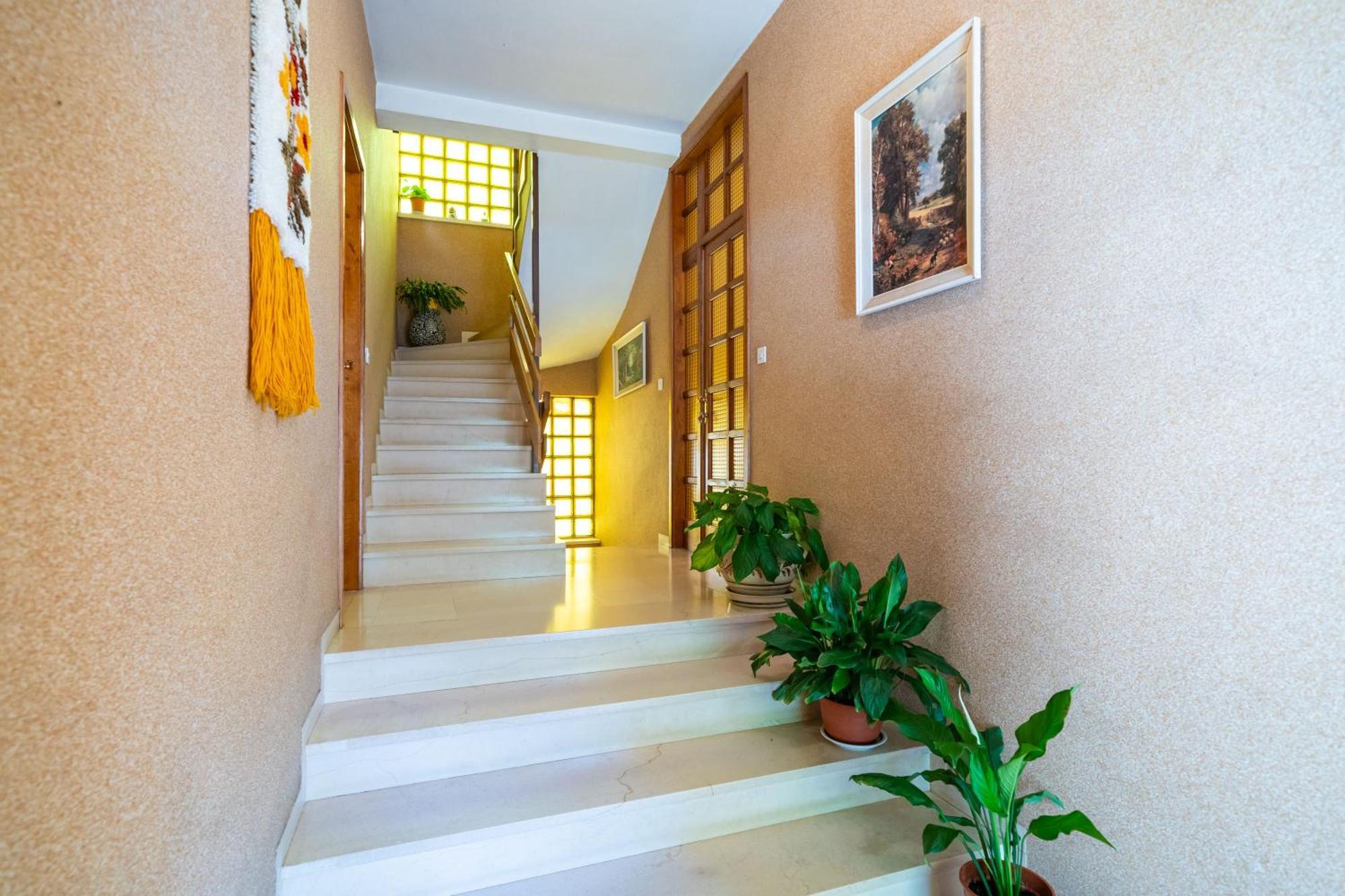 Apartments Villa Ivka Dubrovnik Exterior foto